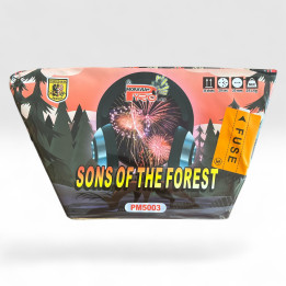 36 ran SONS OF THE FOREST